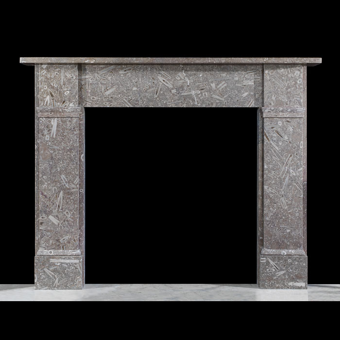 Beautiful Victorian Fossil Marble Fireplace 